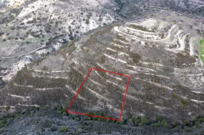 Сельхоз земля - 18224, photo 1