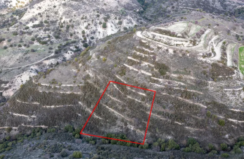 Сельхоз земля - 18224, photo 2