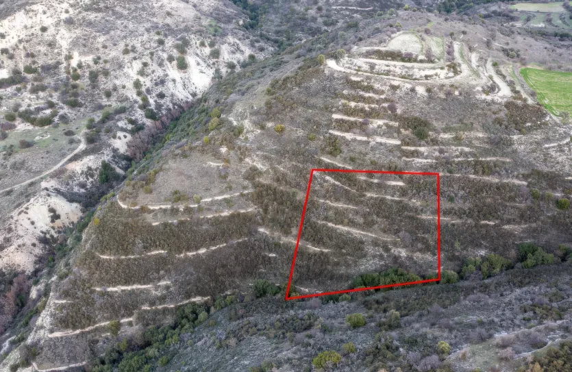 Сельхоз земля - 18224, photo 3