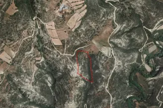 Agricultural land in Dora, Limassol - 18237