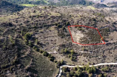 Сельхоз земля - 18235, photo 1