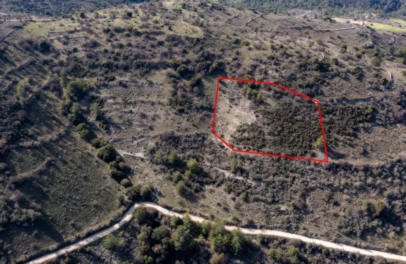 Сельхоз земля - 18235, photo 3