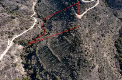 Сельхоз земля - 18234, photo 2