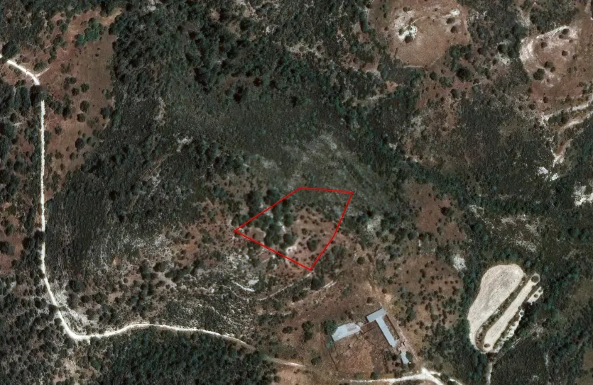 Сельхоз земля продажа - 18239