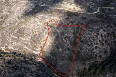 Сельхоз земля - 18236, photo 1