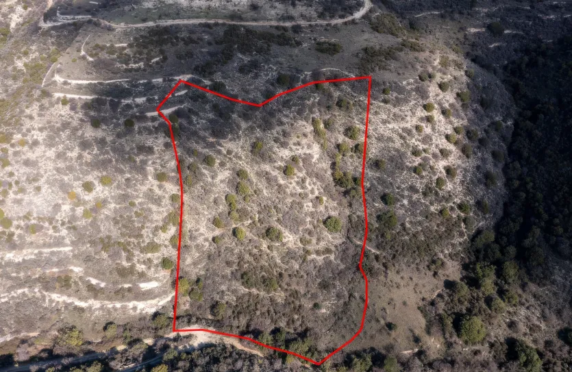 Сельхоз земля - 18236, photo 3