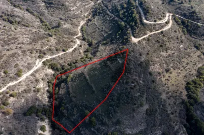 Сельхоз земля - 18233, photo 2