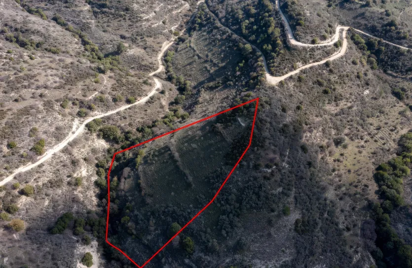 Сельхоз земля - 18233, photo 3