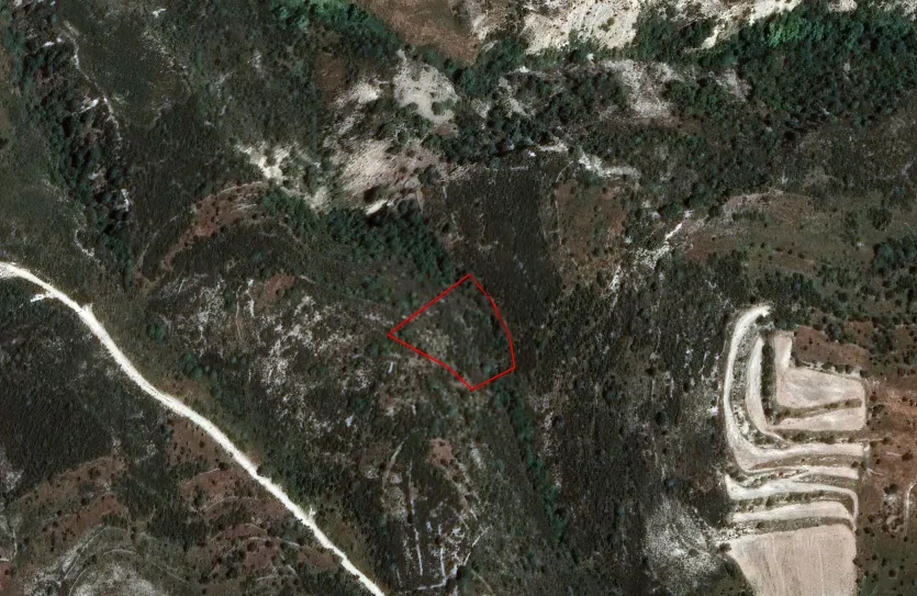 Сельхоз земля продажа - 18245