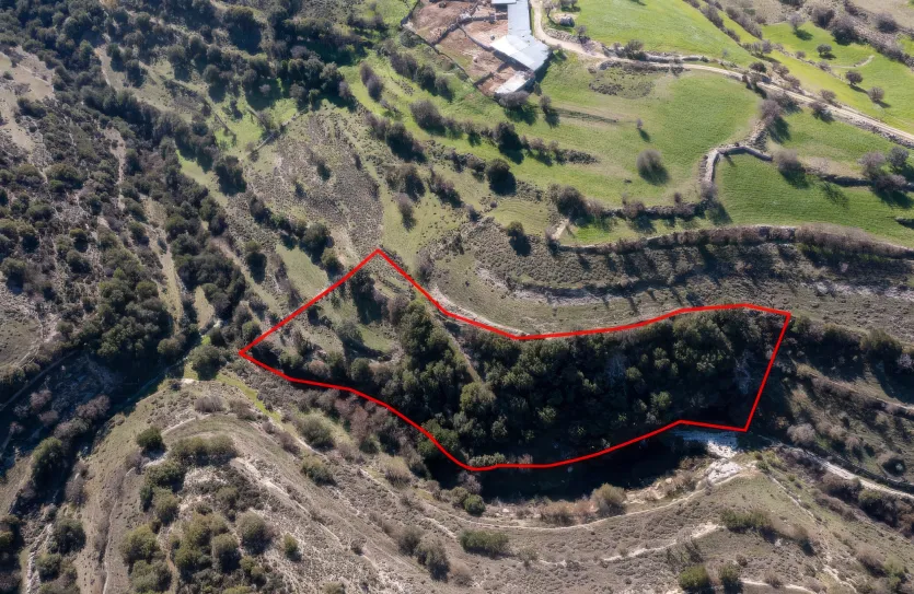 Сельхоз земля продажа - 18241