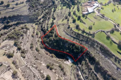 Сельхоз земля - 18241, photo 1