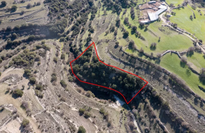 Сельхоз земля - 18241, photo 2