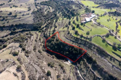 Сельхоз земля - 18241, photo 2