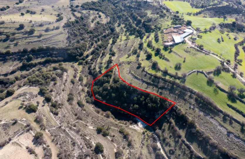 Сельхоз земля - 18241, photo 3