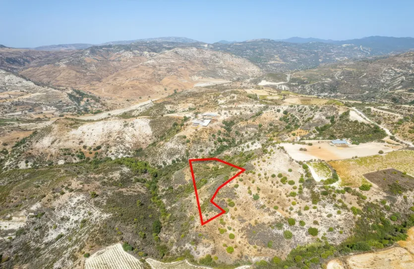 Сельхоз земля продажа - 18249