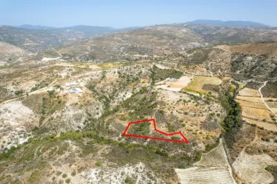 Сельхоз земля - 18249, photo 1