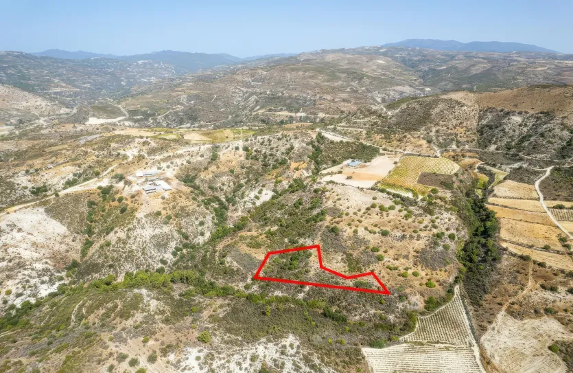 Сельхоз земля - 18249, photo 2