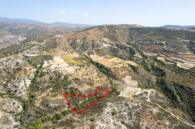 Сельхоз земля - 18249, photo 2