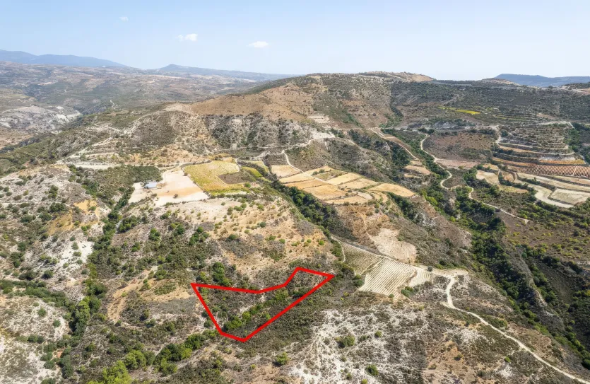 Сельхоз земля - 18249, photo 3