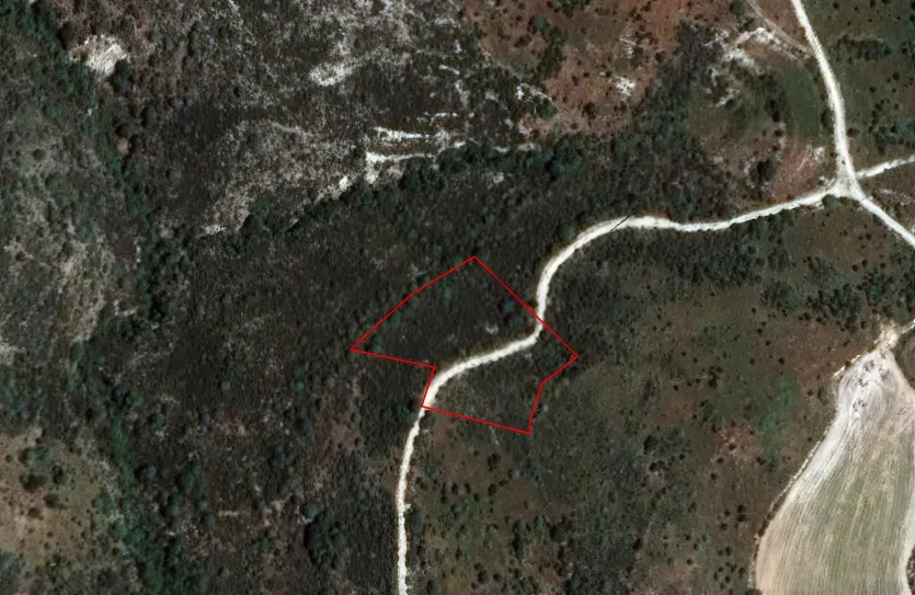 Сельхоз земля продажа - 18242