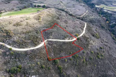 Сельхоз земля - 18242, photo 1