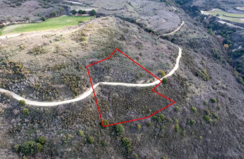 Сельхоз земля - 18242, photo 2