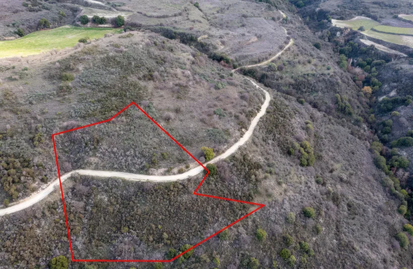 Сельхоз земля - 18242, photo 3