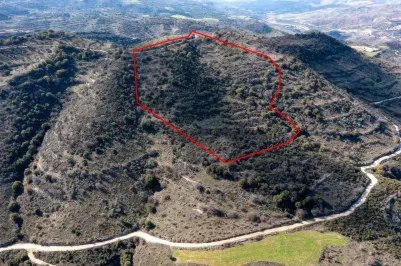 Сельхоз земля - 18246, photo 1