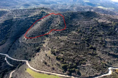 Сельхоз земля - 18246, photo 2