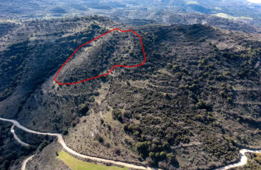 Сельхоз земля - 18246, photo 3