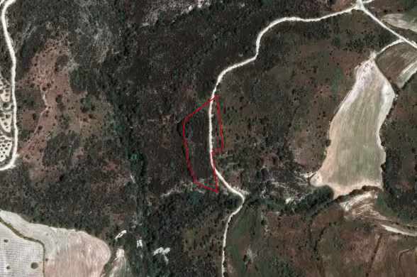 Сельхоз земля в Доре, Лимассол