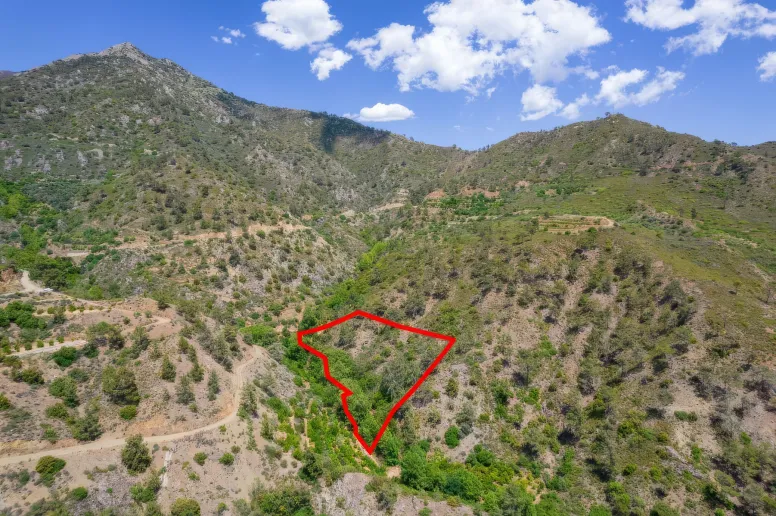 Сельхоз земля в Сикопетре, Лимассол