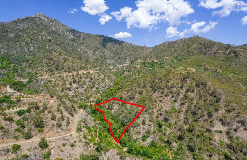 Сельхоз земля продажа - 18248