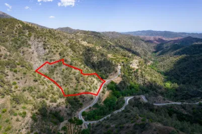 Сельхоз земля - 18248, photo 1