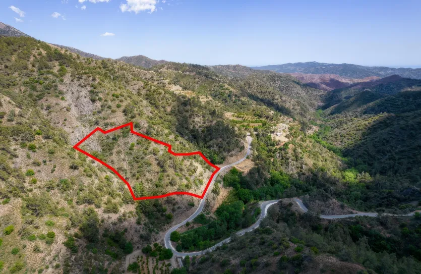 Сельхоз земля - 18248, photo 2