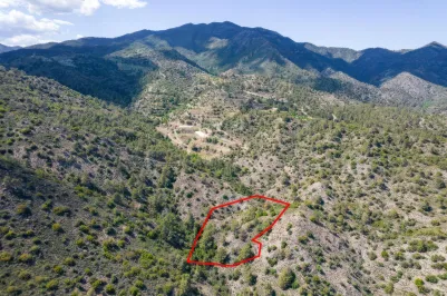 Сельхоз земля - 18248, photo 2