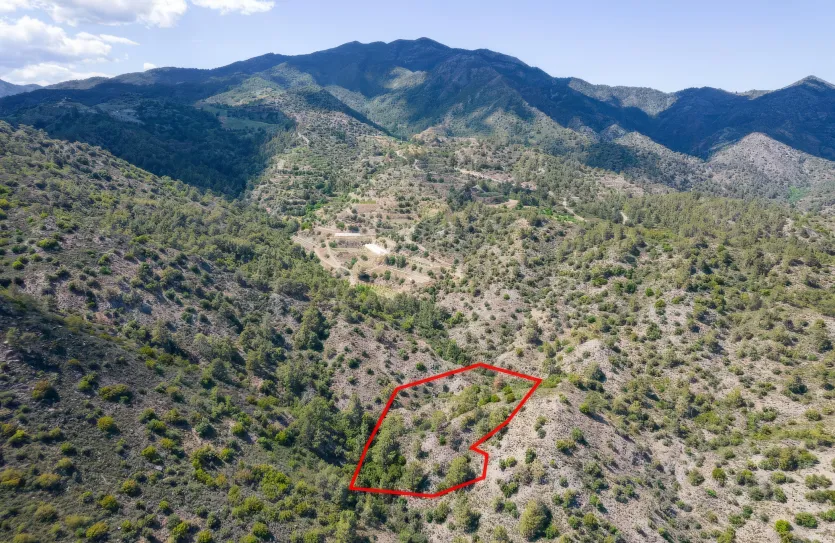 Сельхоз земля - 18248, photo 3