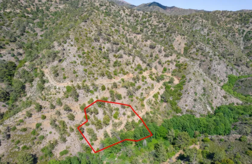 Сельхоз земля - 18248, photo 4