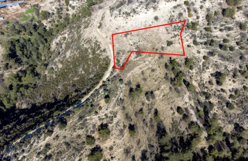 Сельхоз земля - 18257, photo 2