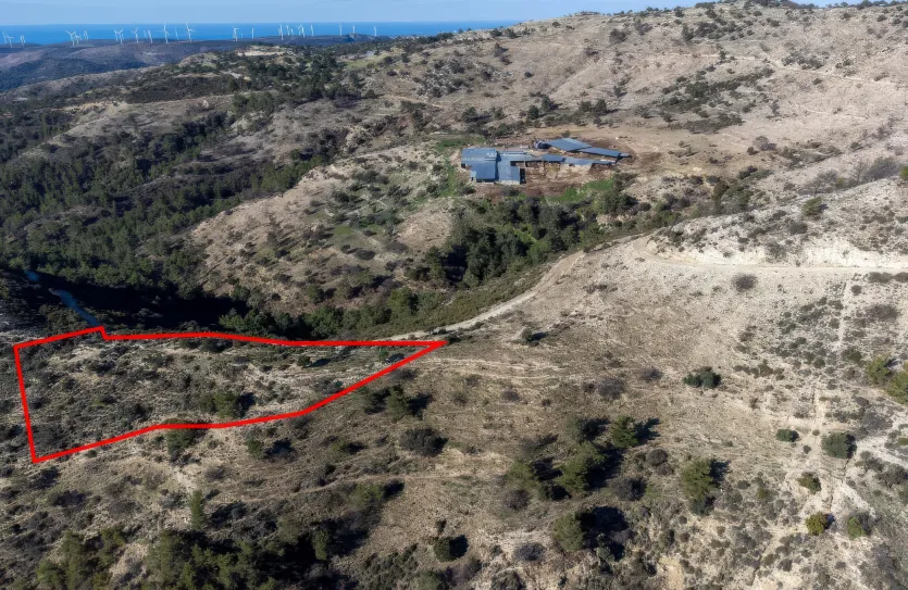 Сельхоз земля продажа - 18256