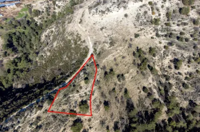 Сельхоз земля - 18256, photo 1