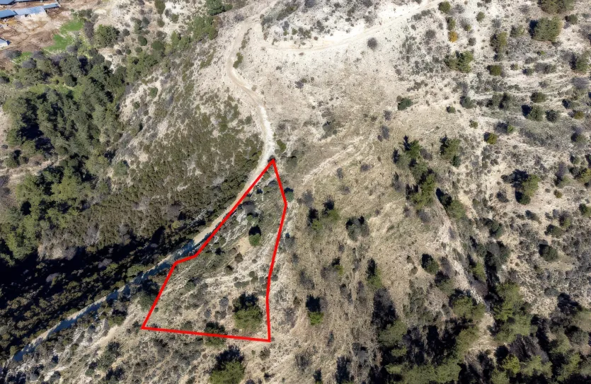 Сельхоз земля - 18256, photo 2