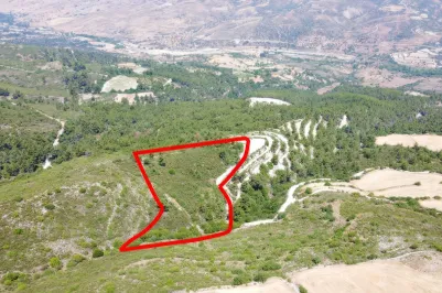 Agricultural land - 18253, photo 1