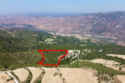 Agricultural land - 18253, photo 2