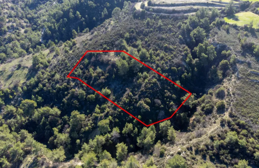 Сельхоз земля продажа - 18252