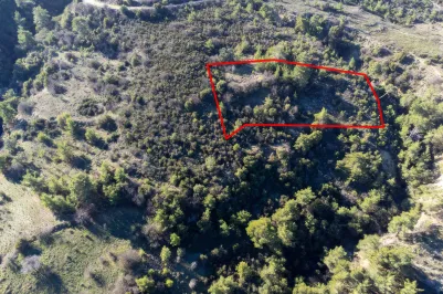 Сельхоз земля - 18252, photo 1