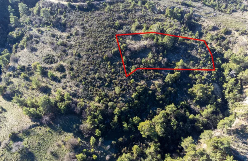 Сельхоз земля - 18252, photo 2