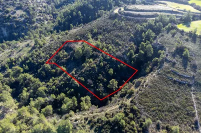 Сельхоз земля - 18252, photo 2