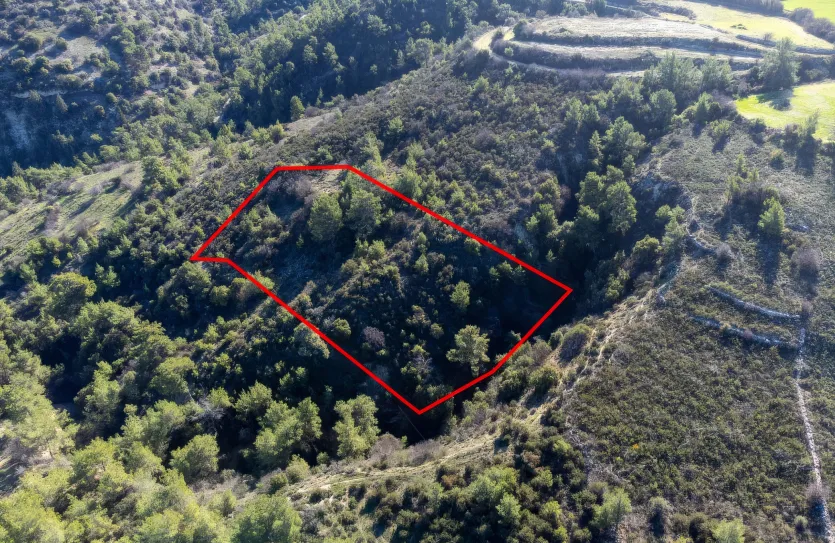 Сельхоз земля - 18252, photo 3