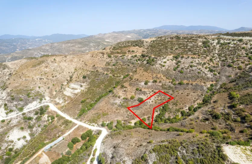 Сельхоз земля продажа - 18251